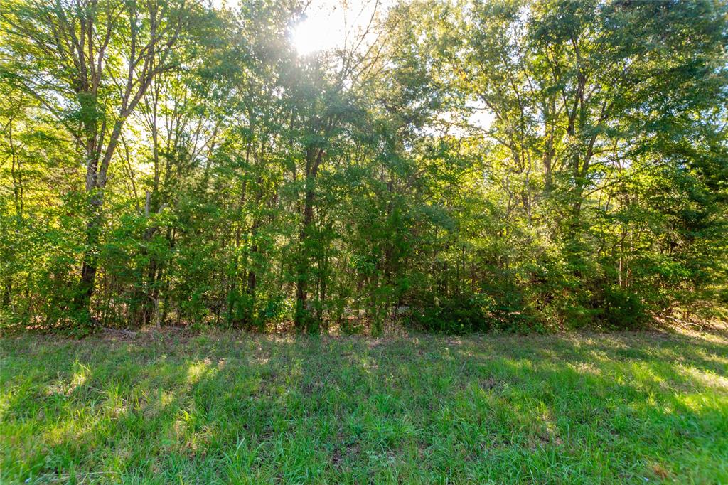 TBD FM 2064 N - Photo 3