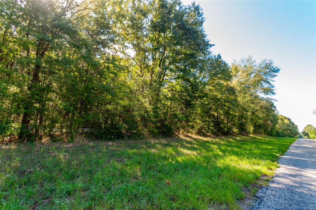 TBD FM 2064 N - Photo 4