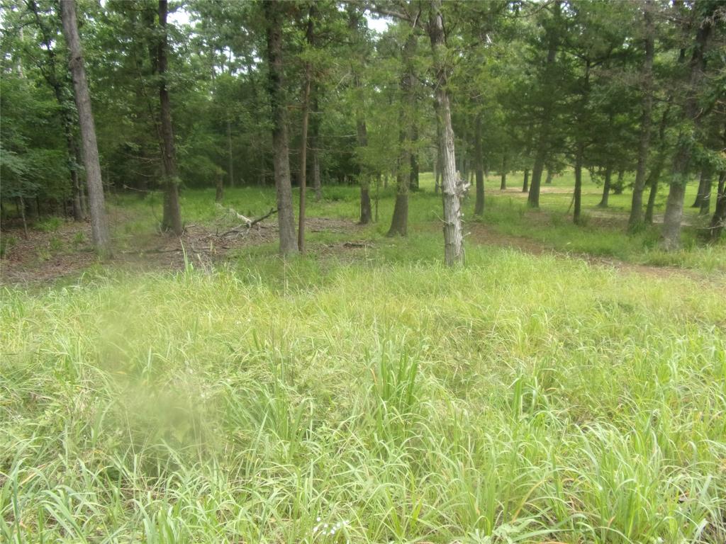 944 Whipporwill - Photo 1