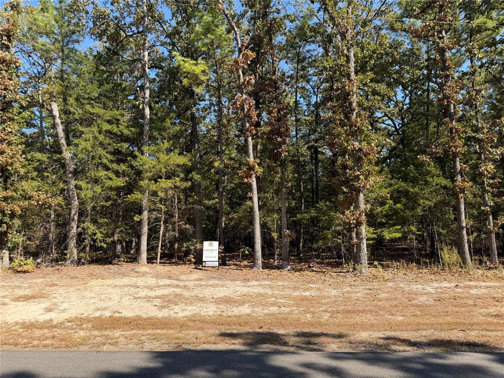 Lot 32 Whispering Pine Trail - Photo 1