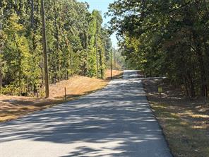 Lot 32 Whispering Pine Trail - Photo 2