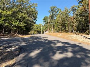Lot 32 Whispering Pine Trail - Photo 4