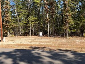 Lot 32 Whispering Pine Trail - Photo 5