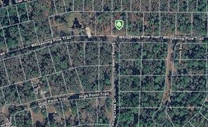 Lot 32 Whispering Pine Trail - Photo 6