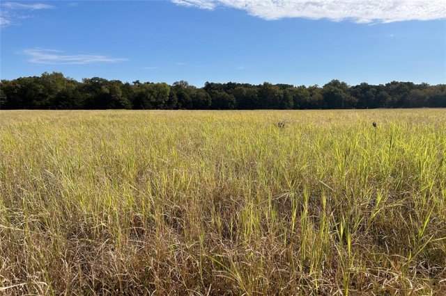 TBD8 County Road 141