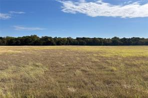 TBD8 County Road 141 - Photo 2