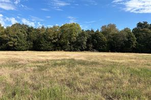 TBD8 County Road 141 - Photo 4