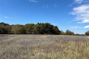 TBD8 County Road 141 - Photo 7