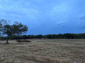4718 County Road 707 - Photo 7