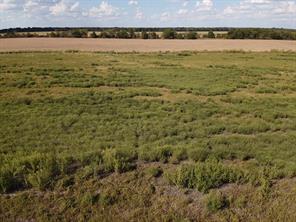 000 Lot 2 CR 4116 - Photo 6
