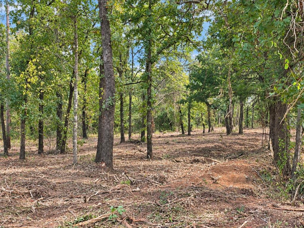 2812 COUNTY ROAD 805B - Photo 10