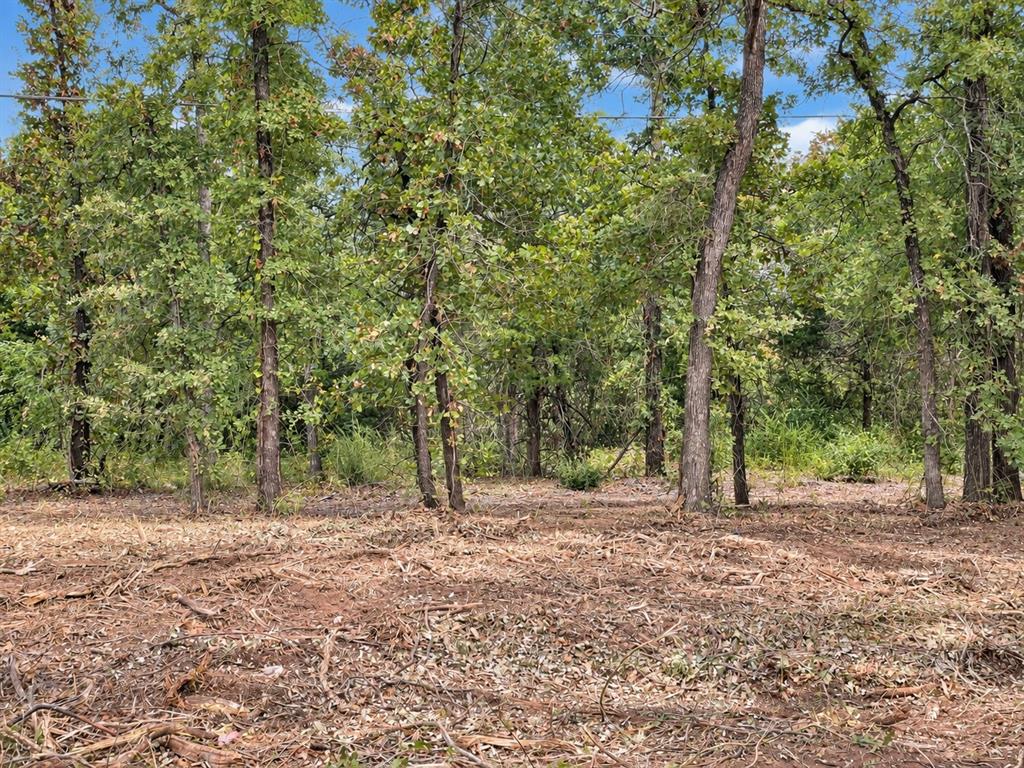 2812 COUNTY ROAD 805B - Photo 11