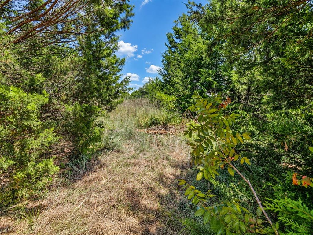 2812 COUNTY ROAD 805B - Photo 14