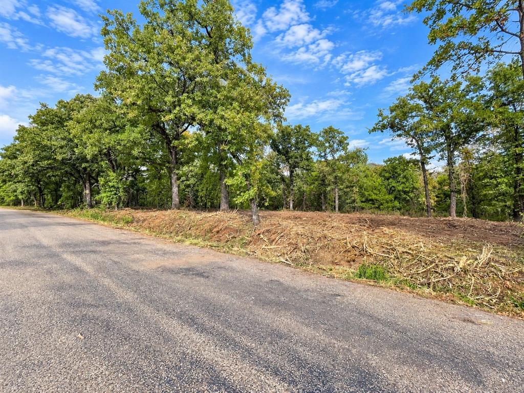 2812 COUNTY ROAD 805B - Photo 2