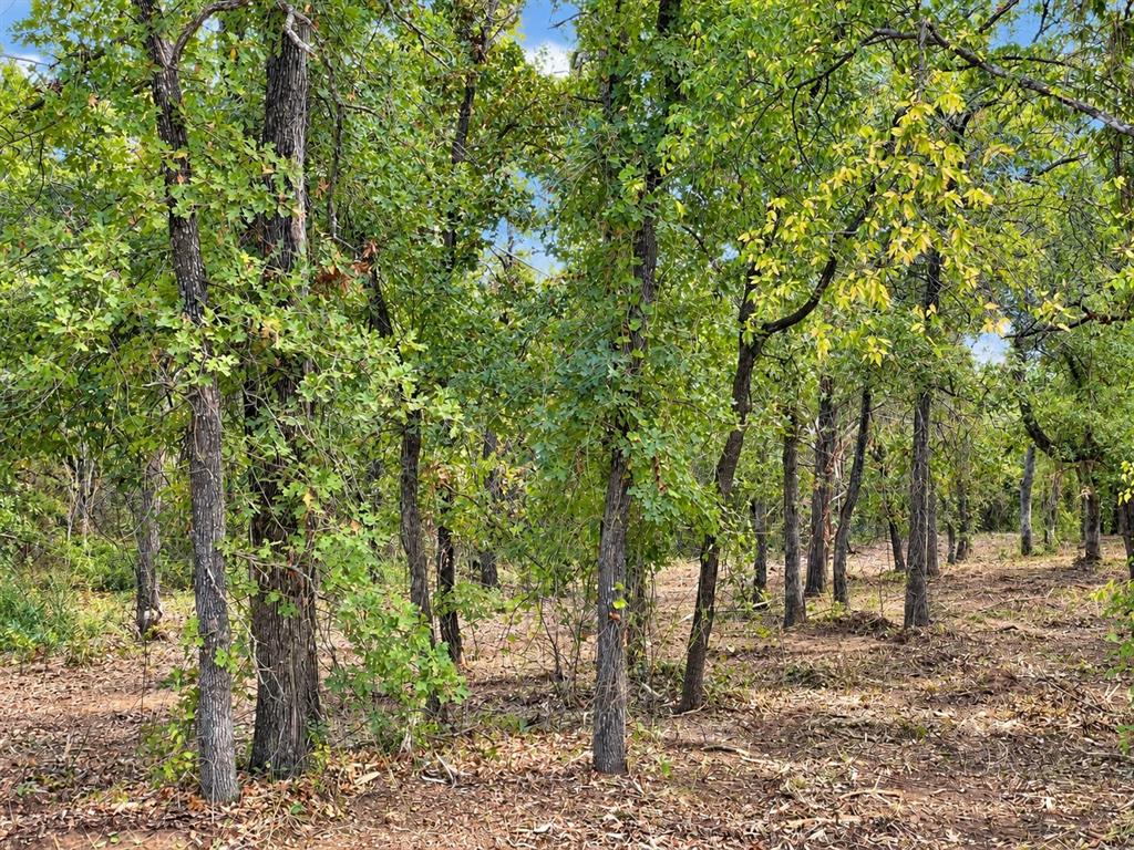 2812 COUNTY ROAD 805B - Photo 9