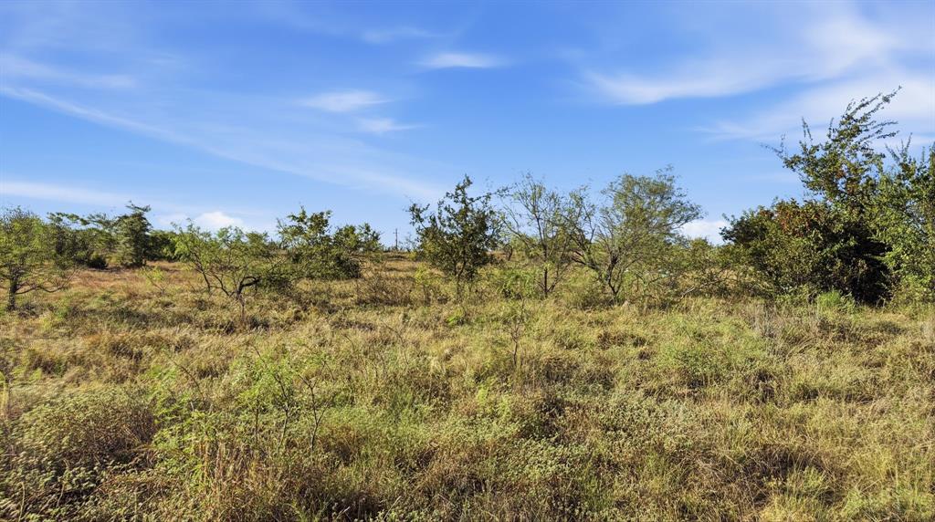 Lot 46 Twisted Creek Ranch - Photo 16