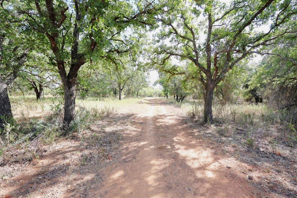 11899L County Road 108 - Photo 28