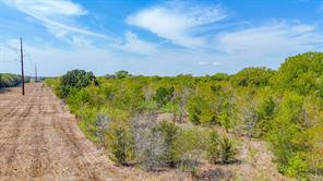 Tbd 27 acres Fm  642 - Photo 19