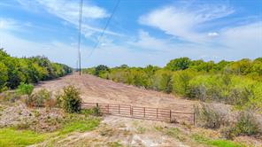 Tbd 27 acres Fm  642 - Photo 21