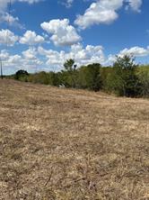Tbd 27 acres Fm  642 - Photo 30