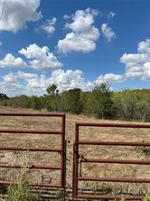 Tbd 27 acres Fm  642 - Photo 34