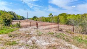 Tbd 27 acres Fm  642 - Photo 5