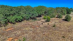 Lot 71 Red Oak Hills Road - Photo 10