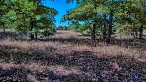 Lot 71 Red Oak Hills Road - Photo 9