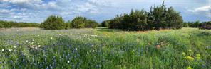 5656 FM 933 - Photo 3