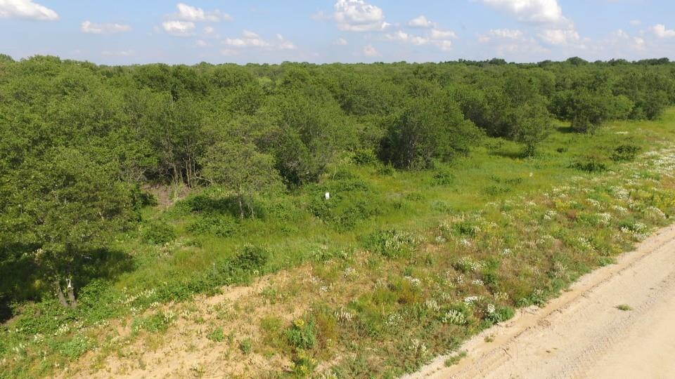 TBD Paradise Oaks - Photo 6