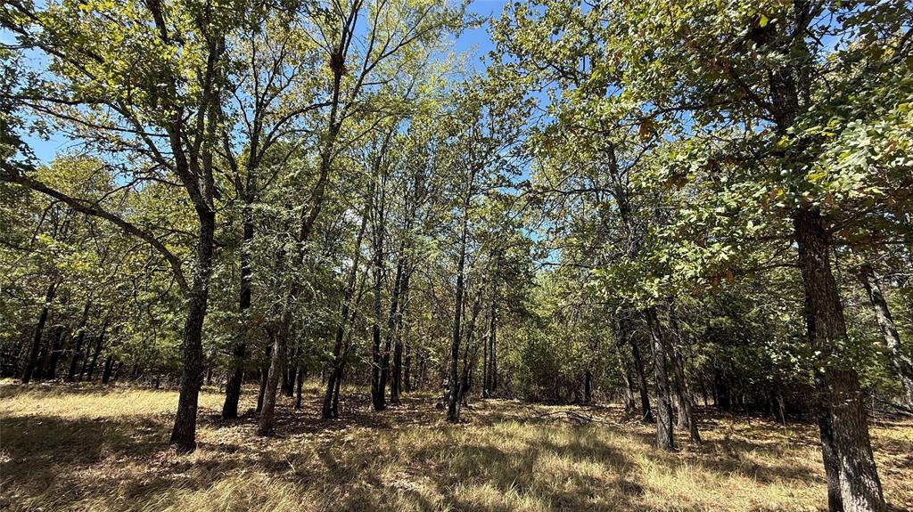 Lot 22 Loper Circle - Photo 15