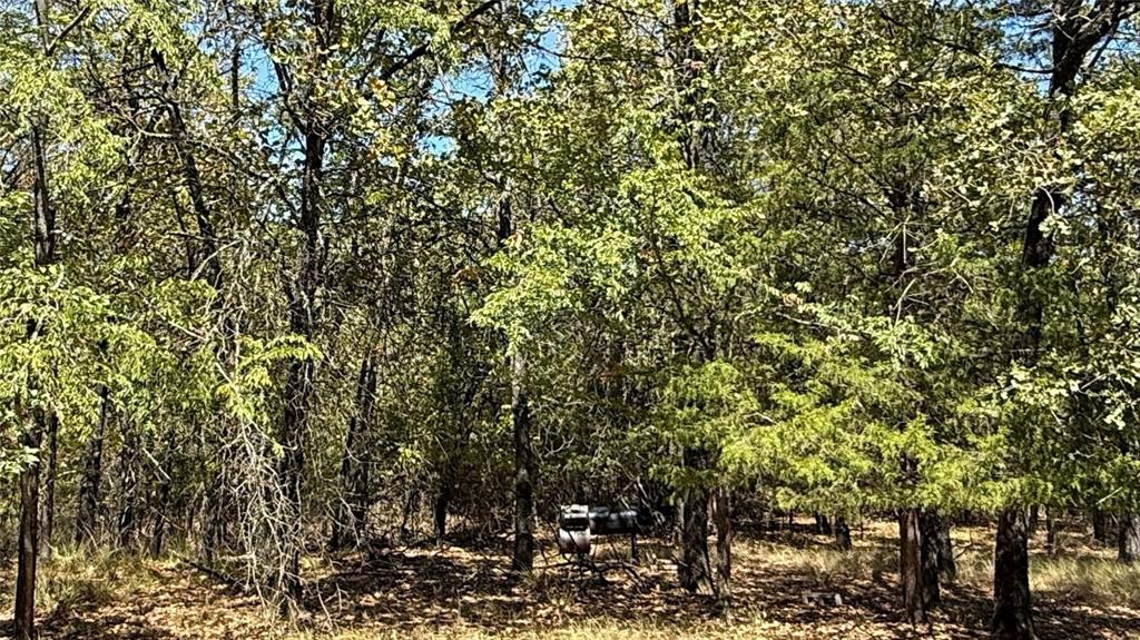 Lot 22 Loper Circle - Photo 23
