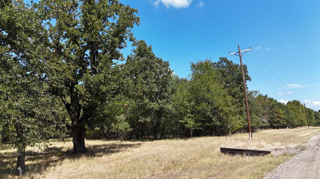 Lot 22 Loper Circle - Photo 3