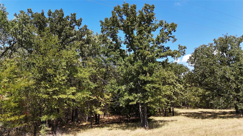 Lot 22 Loper Circle - Photo 4