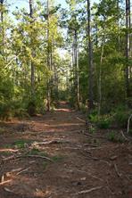 TBD Farm to Market 3343 - Photo 21