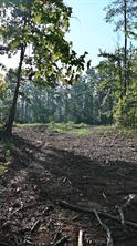 TBD Farm to Market 3343 - Photo 22