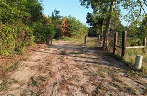 TBD Farm to Market 3343 - Photo 3