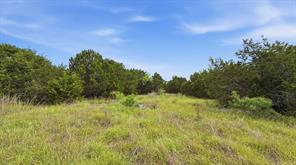Lot 136 Ph 6 PR 42101 - Photo 12