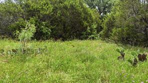 Lot 136 Ph 6 PR 42101 - Photo 13