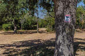 1034 Sanctuary Drive - Photo 29