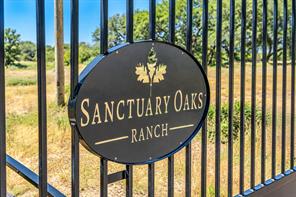 1034 Sanctuary Drive - Photo 8