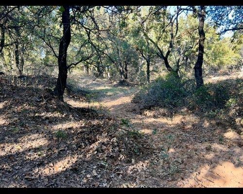 TBD County Road 357