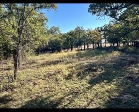 TBD County Road 357 - Photo 10