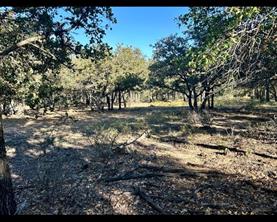 TBD County Road 357 - Photo 12