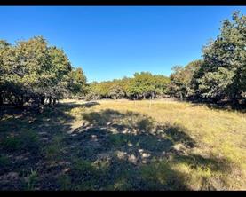 TBD County Road 357 - Photo 15