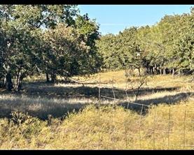 TBD County Road 357 - Photo 17