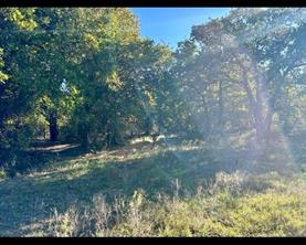 TBD County Road 357 - Photo 4