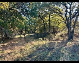 TBD County Road 357 - Photo 5