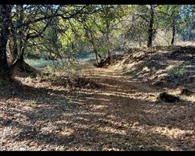 TBD County Road 357 - Photo 6