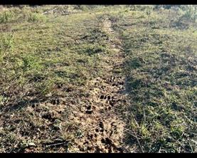 TBD County Road 357 - Photo 8